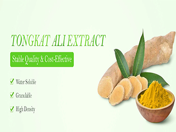What Does Tongkat Ali Extract Do?